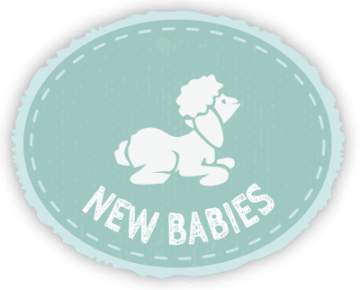 badge-new-babies