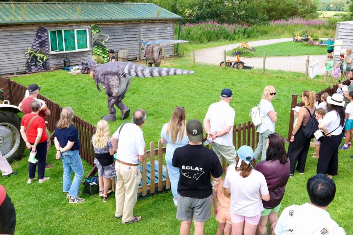 People watch a dinosaur puppet show in a grassy outdoor area.